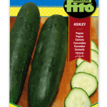 Semillas de Pepino Ashley Superbol en sobre