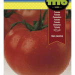 Semillas de Tomate Tres Cantos Superbol Fito en sobre