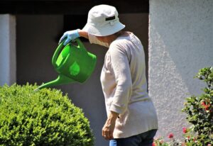 consejos recuperar planta exceso agua