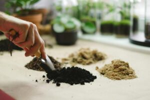 La mejor tierra para tus plantas