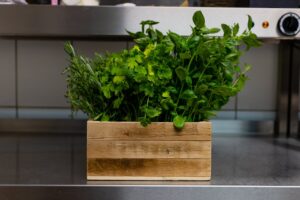 Ventajas de las plantas aromáticas y culinarias