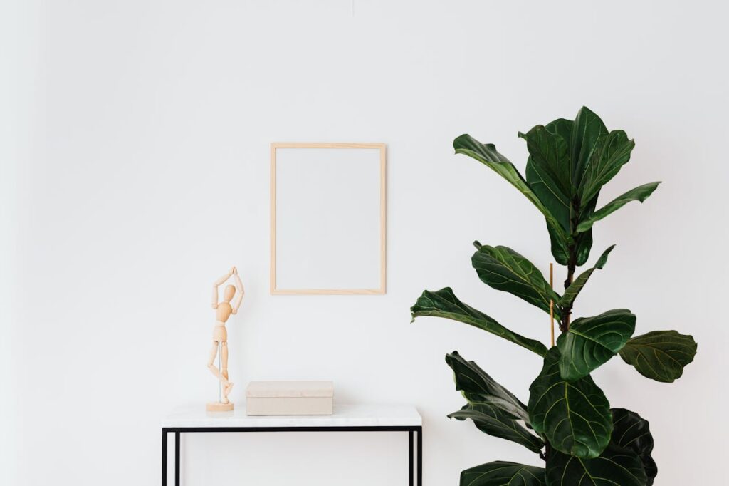 Todo sobre plantas ornamentales para tener en casa