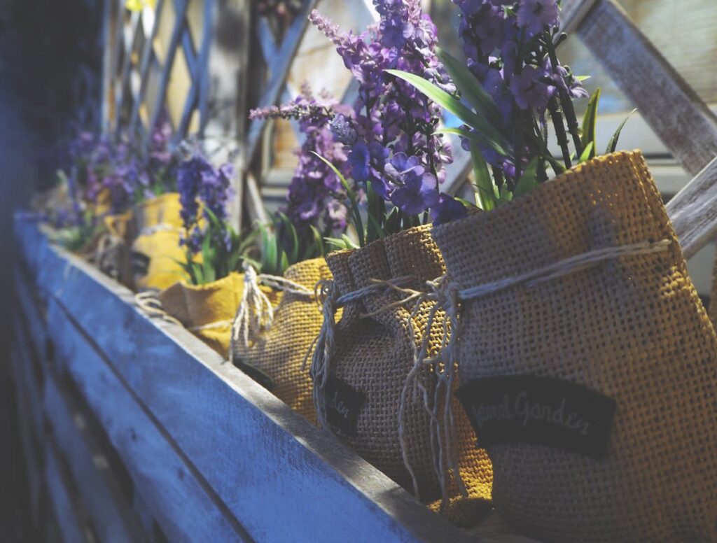 ¿Cómo y cuándo plantar lavanda? Temporada y clima adecuados