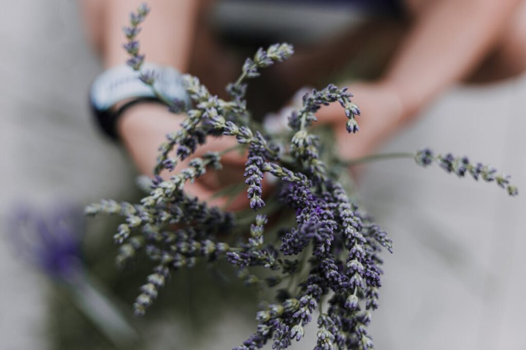 Dormir profundamente es posible: las 5 plantas para dormir mejor que necesitas en casa