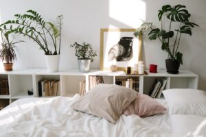 Las mejores plantas para el dormitorio: purifica el aire de tu habitación