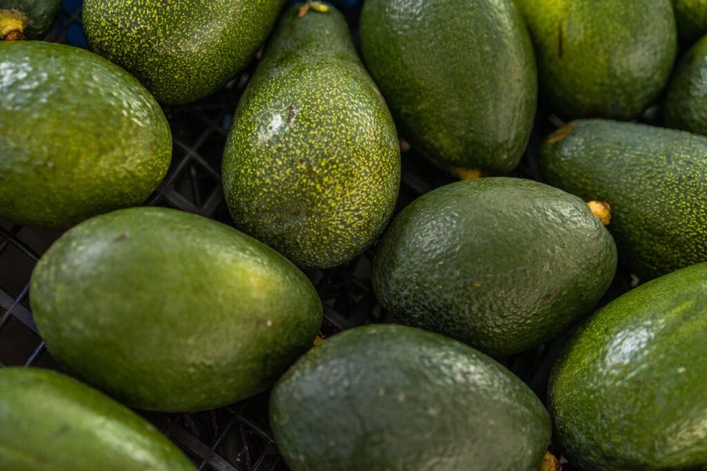 Lo que nadie te contó sobre las propiedades y beneficios del aguacate