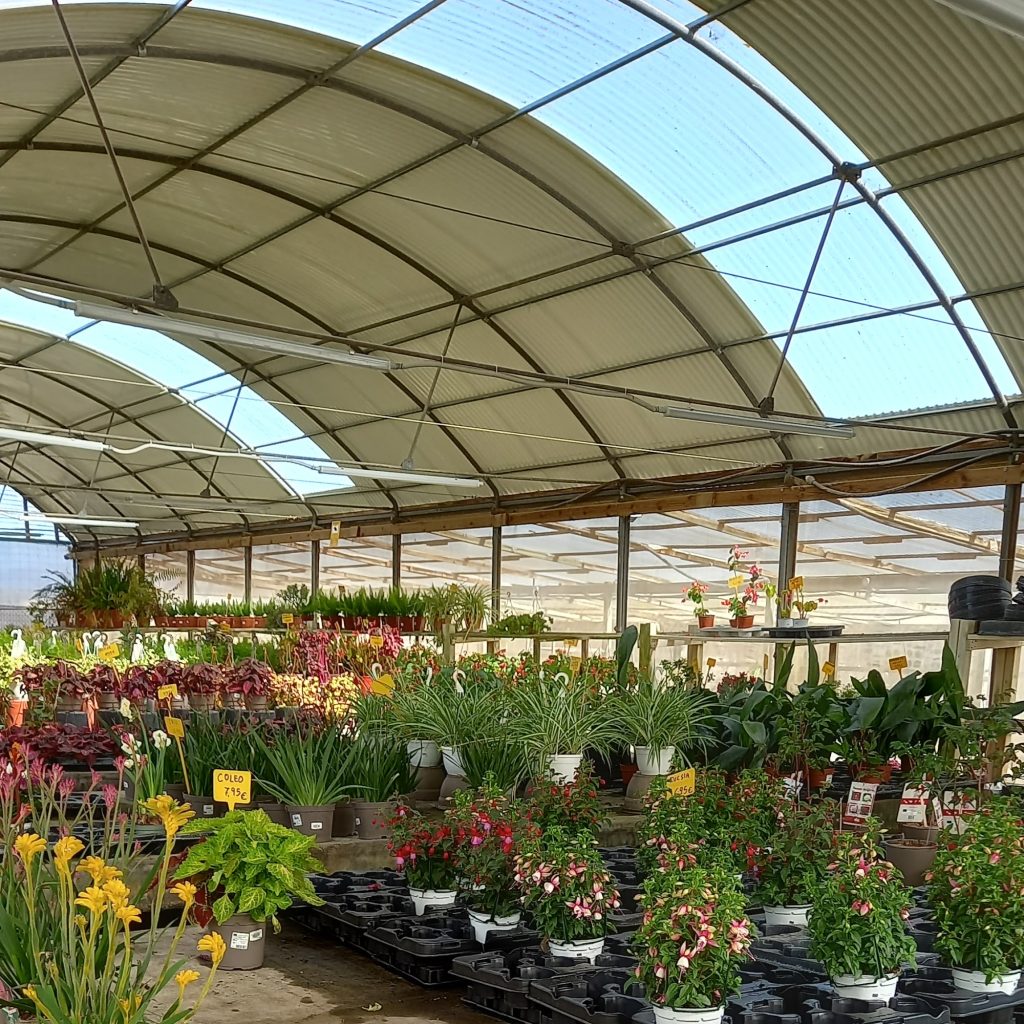 Vivero Can Juanito Vivers