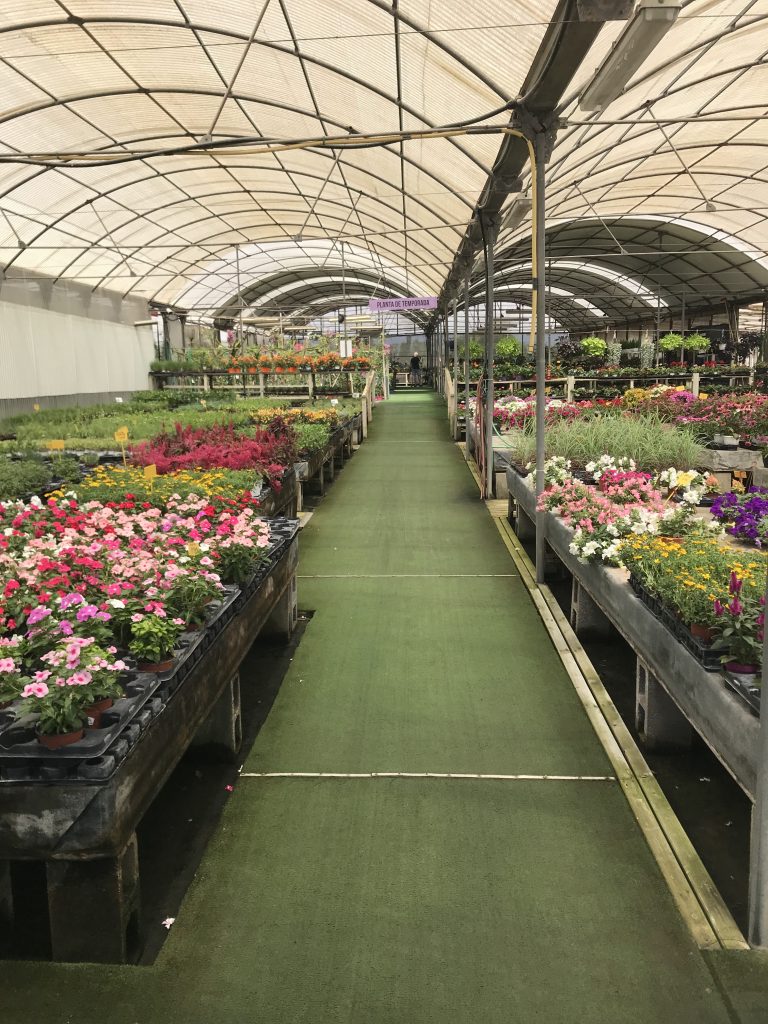 Vivero Can Juanito Vivers 2