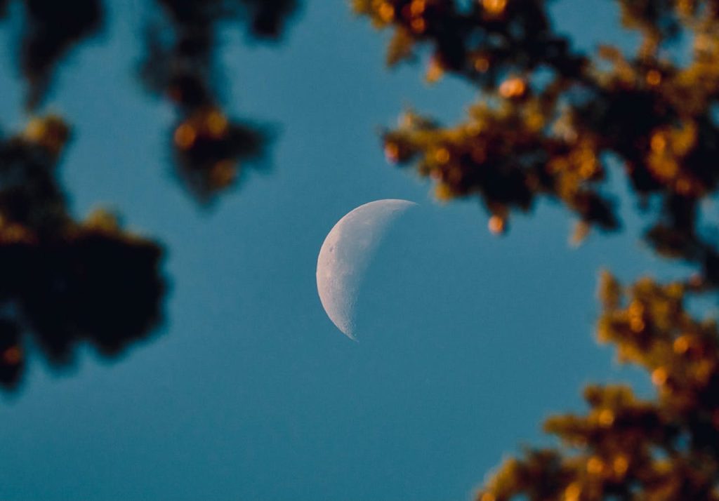 Plantar según la luna es una práctica agrícola que lleva siglos aplicándose y que todavía hoy sigue despertando curiosidad. Por ello, muchos se preguntan con qué luna es mejor plantar, pero la respuesta rápida es que no existe una única luna mejor para sembrar, sino que cada fase lunar favorece distintos tipos de cultivos.