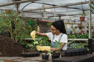 ¿Cómo cuidar las plantas? Consejos básicos para todo tipo de cultivos