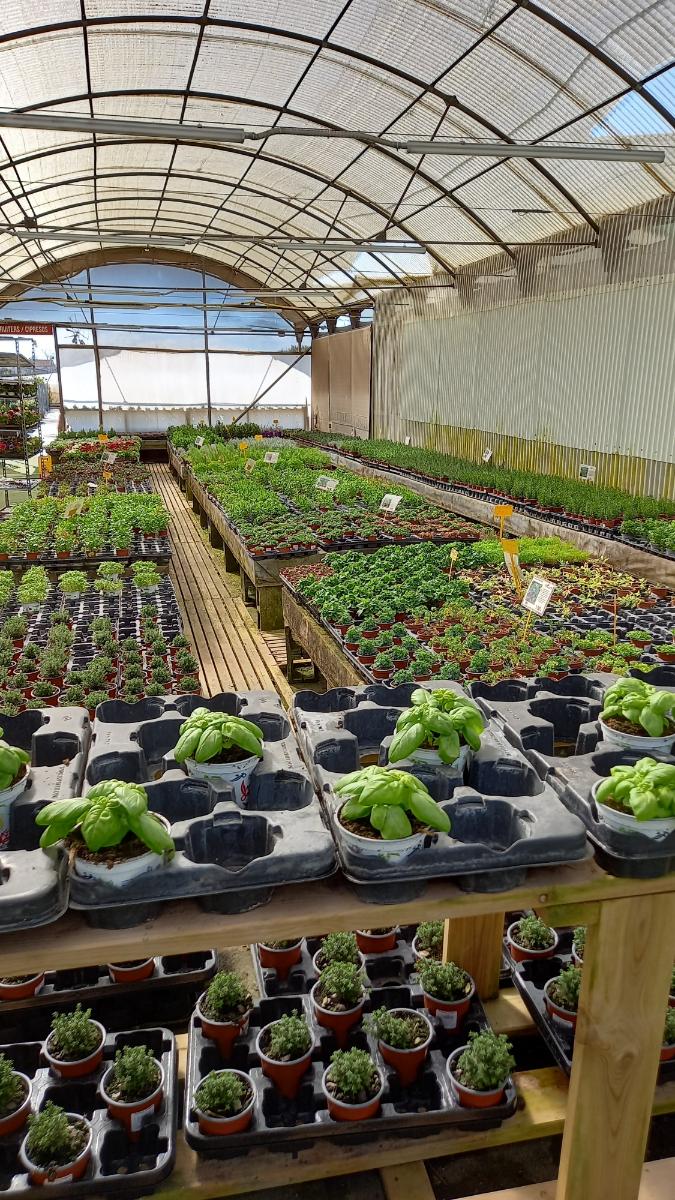 Centro del vivero Can Juanito