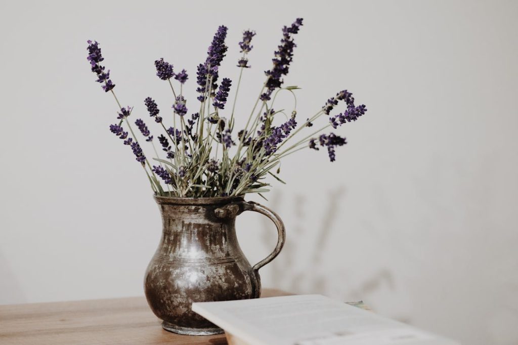 ¿Cuándo podar la lavanda en maceta? Temporada adecuada y tips de poda