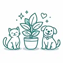 Plantas Aptas Mascotas