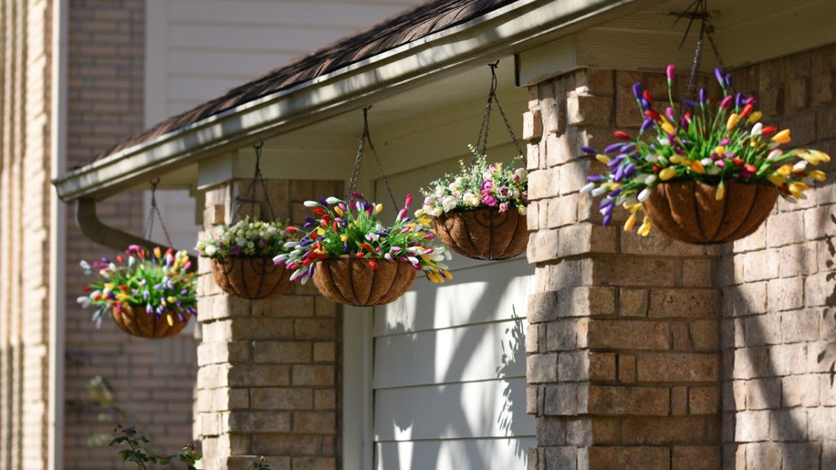 Mejores plantas para tiestos colgantes