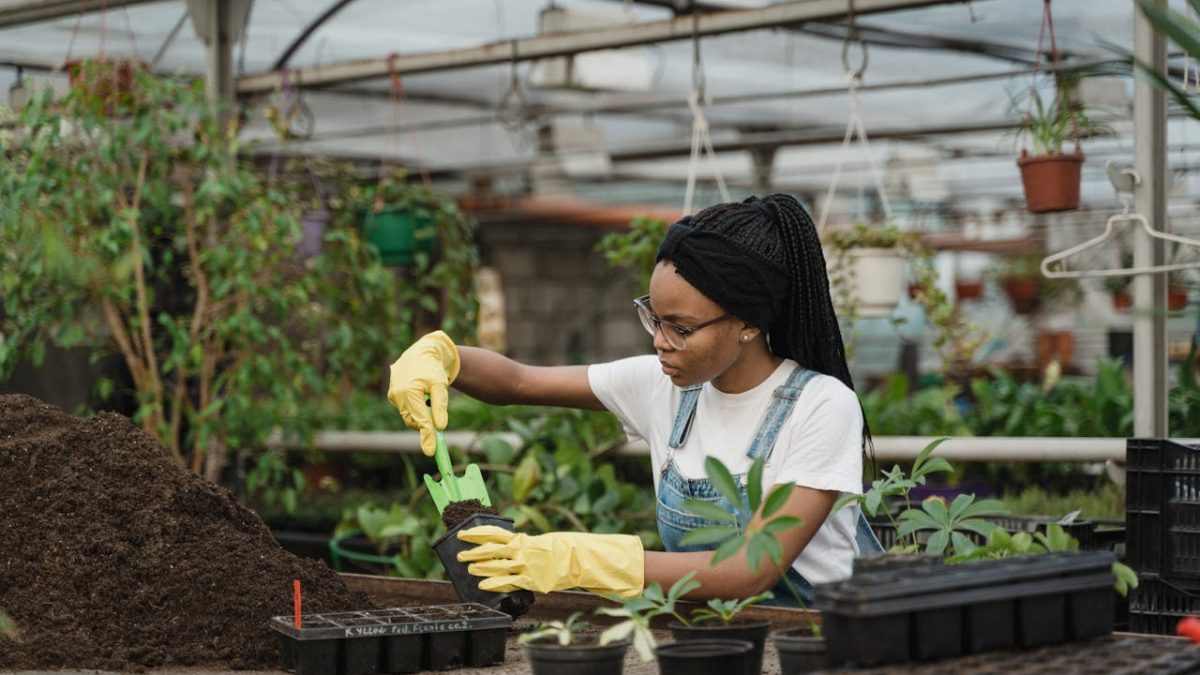 ¿Cómo cuidar las plantas? Consejos básicos para todo tipo de cultivos