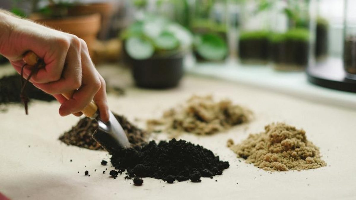 La mejor tierra para tus plantas
