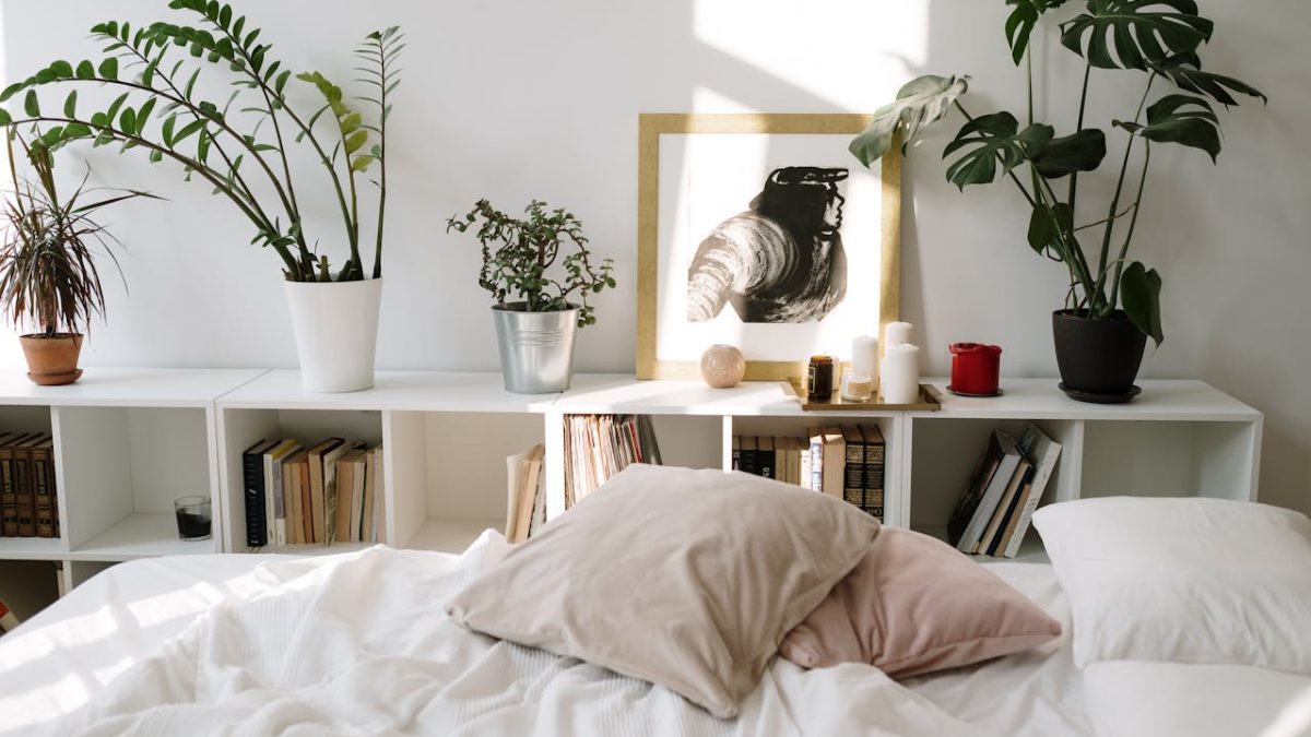 Las mejores plantas para el dormitorio: purifica el aire de tu habitación