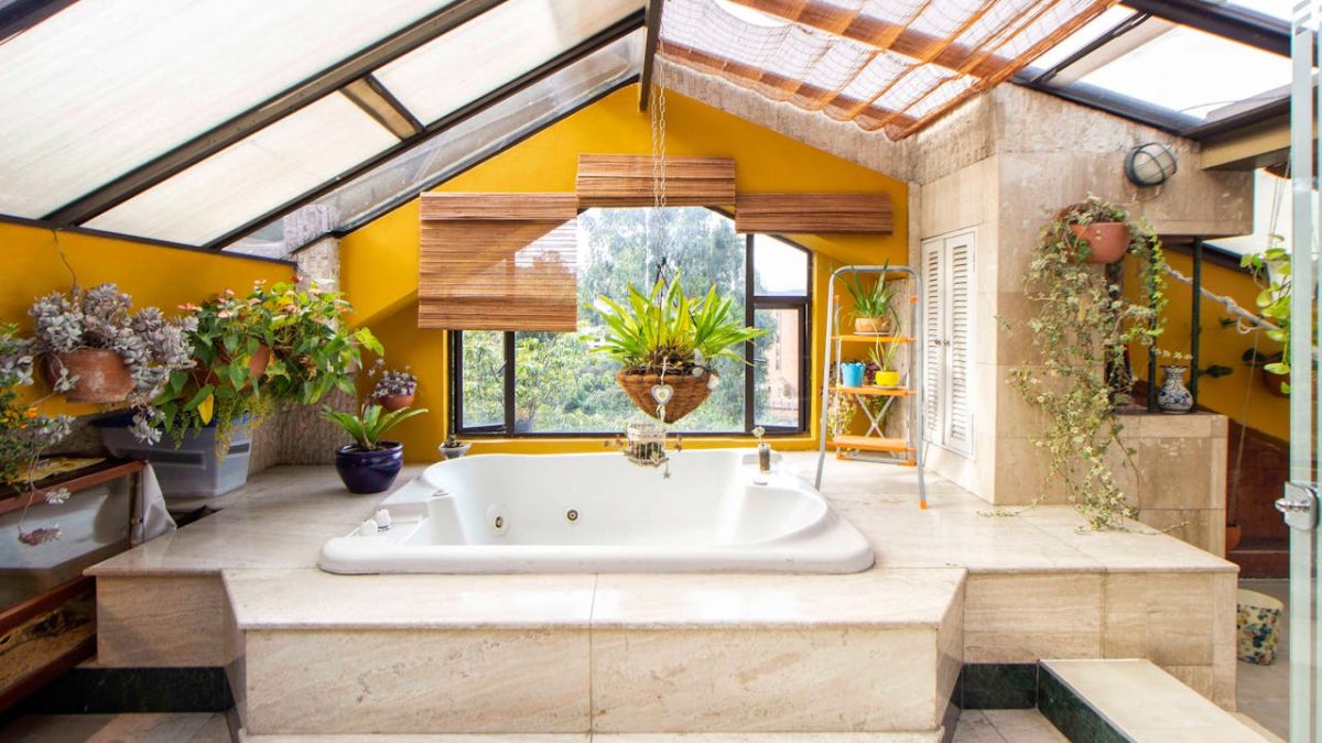 Las mejores plantas para tener en el baño