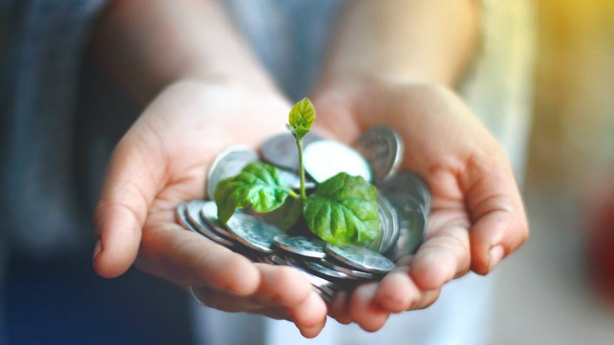 plantas de la suerte para el hogar