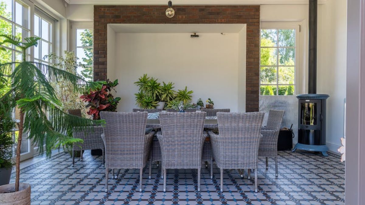 Plantas ideales para el salón o comedor