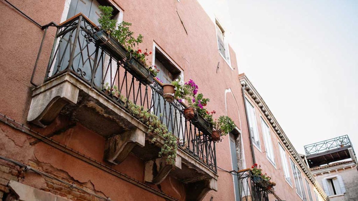 plantas perfectas para el balcon